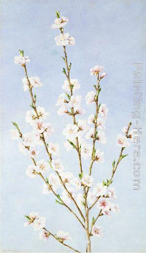 John William Hill Peach Blossoms